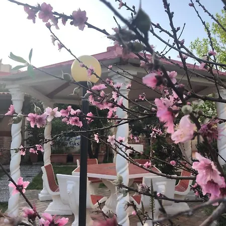 A A 200 Metri Dal Mare Apartment *